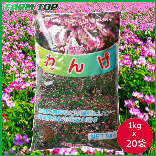 景観用緑肥 れんげ 種 レンゲの種 1kg×20袋セット【景観用緑肥】