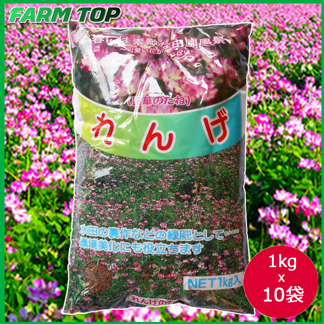 景観用緑肥 れんげ 種 レンゲの種 1kg×10袋セット【景観用緑肥】