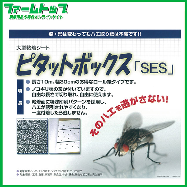 環境管理用薬剤 業務用 ハエ取りロール紙 ピタットボックス「SES」 幅
