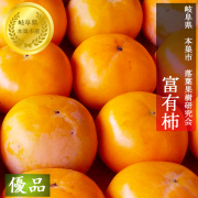 【富有柿　予約販売　11月下旬～12月下旬の発送予定です】岐阜県本巣市　落葉果樹研究会　契約農家様より直送　適熟富有柿【優品】【L～2L　約12個】