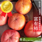 【富有柿　予約販売　11月下旬～12月下旬の発送予定です】岐阜県本巣市　落葉果樹研究会　契約農家様より直送　適熟富有柿【秀品】【3L～4L　約9個】