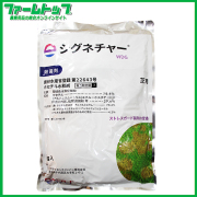 【芝用殺菌剤】シグネチャーWDG　1ｋｇ