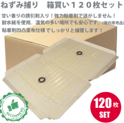 ネズミ捕り粘着シート 耐水紙使用　あま～い香りの誘引剤入り　箱売り　120枚セット　ねずみとり　