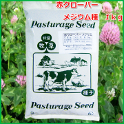 【雑草の抑制に!!】　緑肥　赤クローバー　メジウム　種　1ｋｇ【休耕田などの景観に最適です!!】　