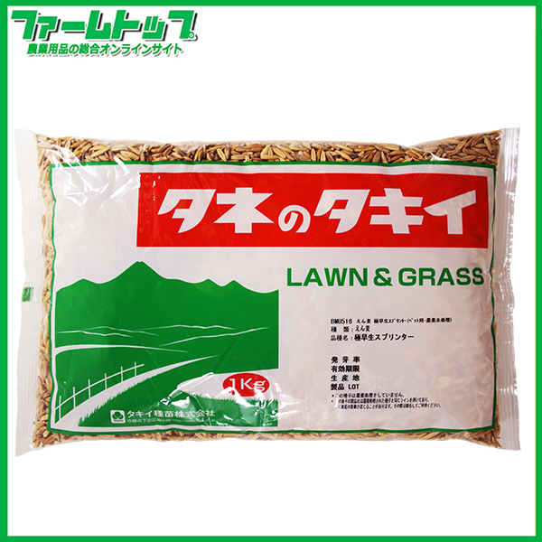 緑肥　エン麦　極早生スプリンター(ペット用・農薬未処理)　種　1kg　猫草・ウサギ用