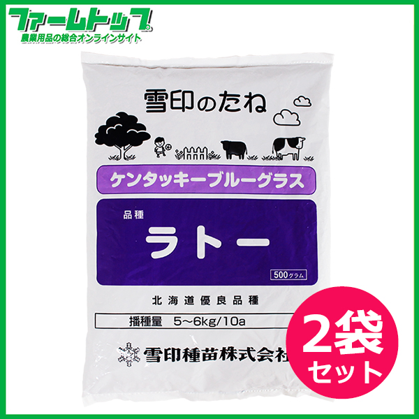 芝の種　ケンタッキーブルーグラス　ラトー　緑化用　500g×2袋セット(1kg)　法面保護用