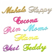 ミニ】newりんごのお名前アイロンワッペン【セミオーダー】