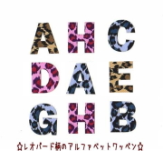【カット】【縦３ｃｍ】【小】レオパード豹柄のアルファベット数字のワッペン