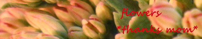 母の日バナー670セダム