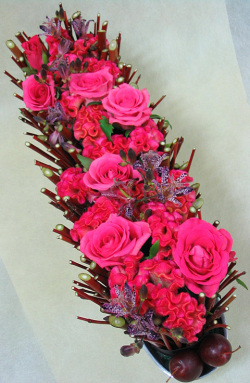 オペラピンクホリゾンタル