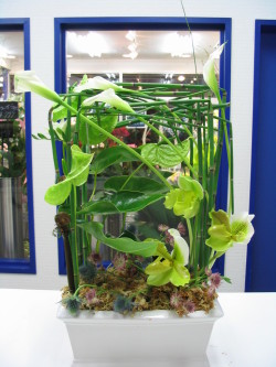 フレームアレンジグリーン