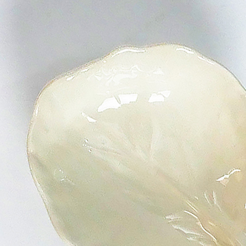 BORDALLO PINHEIRO (ボルダロ・ピニェイロ) ｜ キャベツ　プチリーフボウル　ホワイト 　