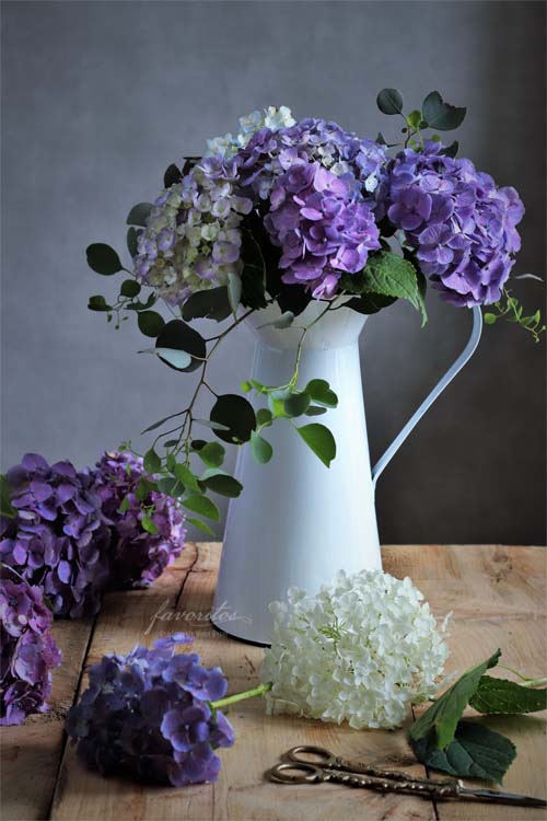 エナメル・ピッチャー