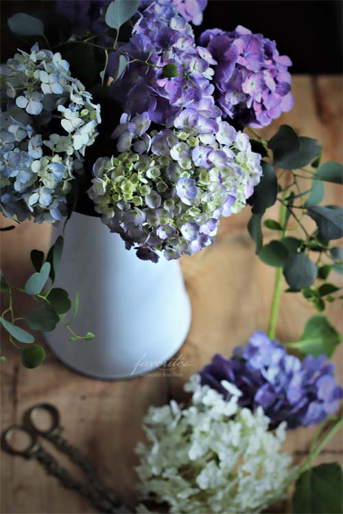 エナメル・ピッチャー