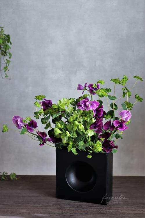 COSTA NOVA（コスタノバ） ｜ RIVIERA（リヴィエラ) ル ジャルダン