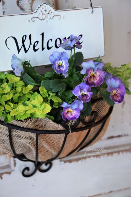 クラシカル・ウォールバスケット(L/S)