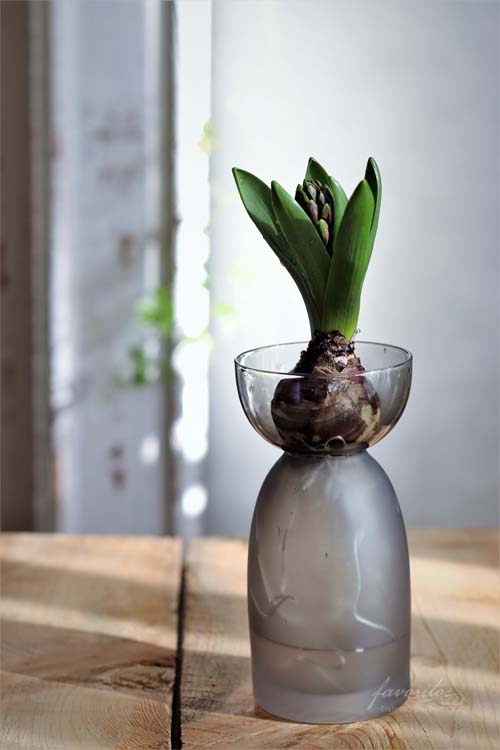 フローラベース scope スモークグレー ガラス花瓶 約15cm フローラ