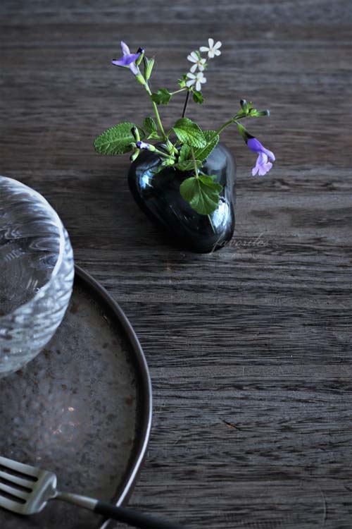 スガハラ｜ミニベース 三角形（クリアー/インディゴブルー）