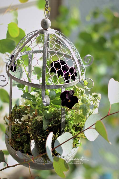 ガゼボ・バードフィーダー