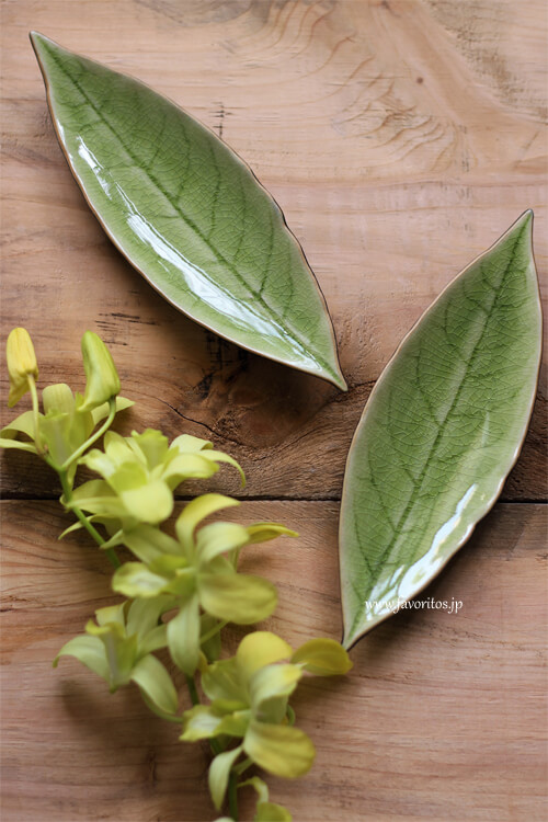 COSTA NOVA（コスタノバ） ｜RIVIERA（リヴィエラ）