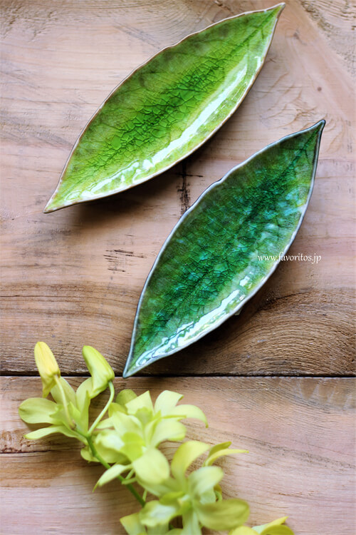 COSTA NOVA（コスタノバ） ｜RIVIERA（リヴィエラ）