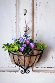 プランツケージ