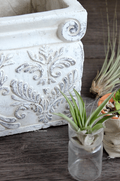 ダイナスティ・レクトポット L