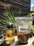 麦茶　むぎちゃん　500g