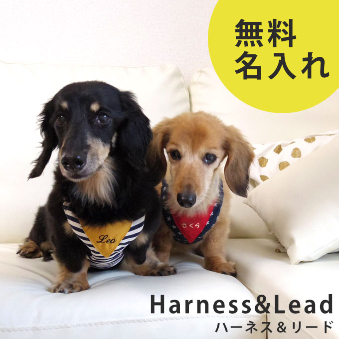 名入れ 犬 ハーネス リード 