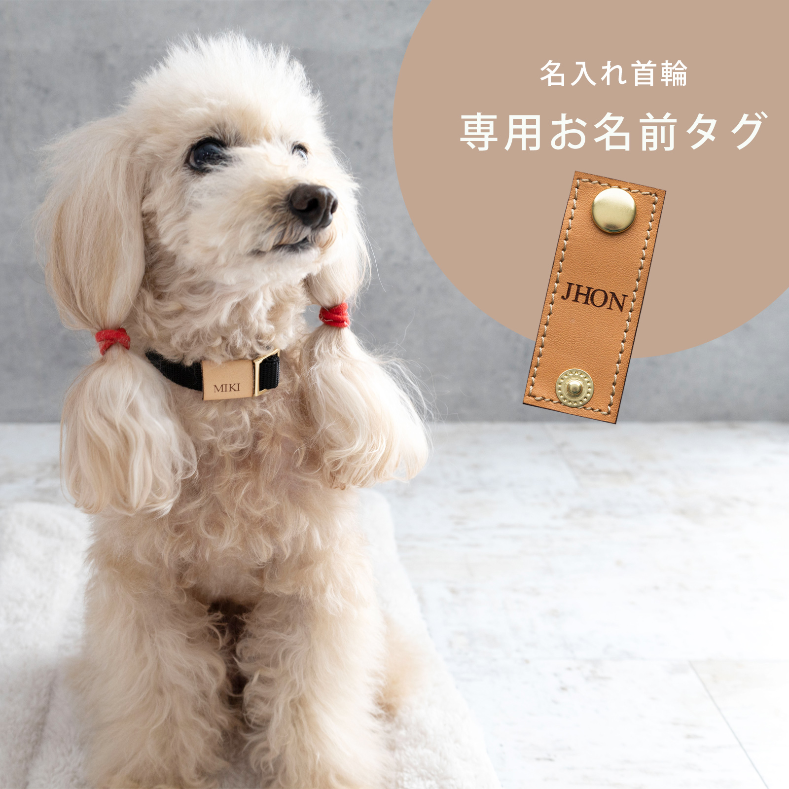 首輪専用お名前タグ