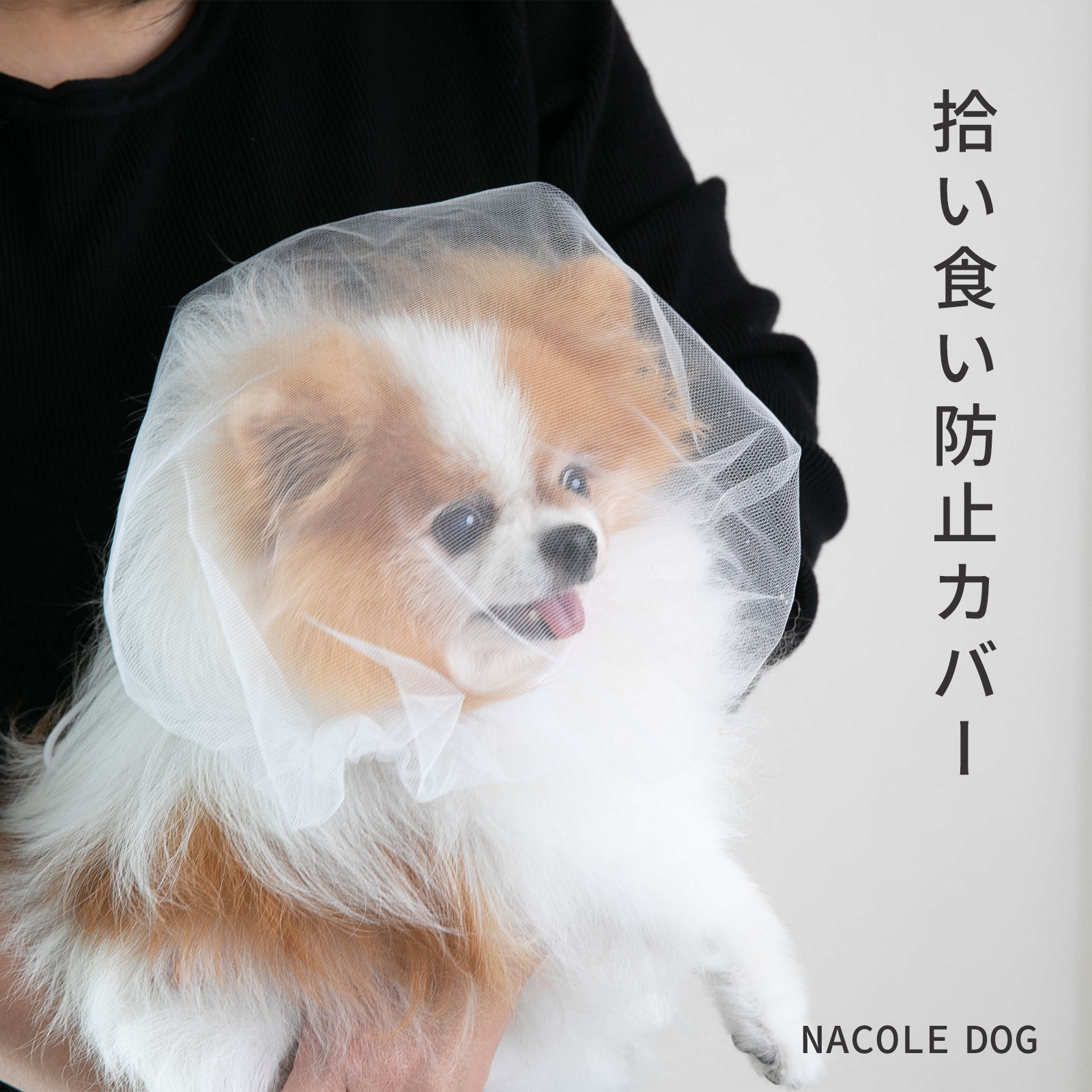 拾い食い防止カバー