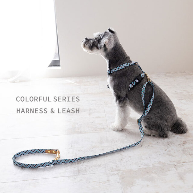 新品　COACH　コーチ　犬　リード　カラフル　レザー 日本製 犬 犬用 ハーネス リード セット お揃い 単品 シンプル 上品