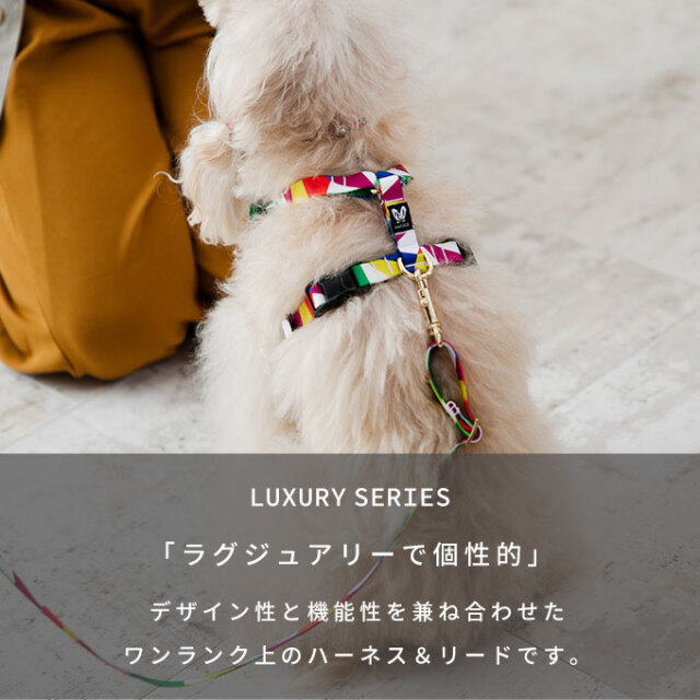 日本製 犬 犬用 ハーネス リード セット お揃い 単品 カラフル