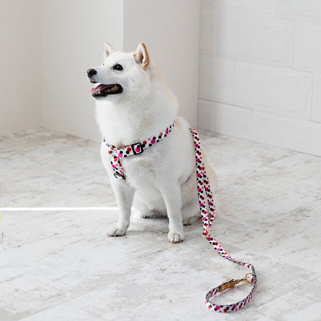 日本製 犬 犬用 ハーネス リード セット お揃い 単品 シンプル 上品