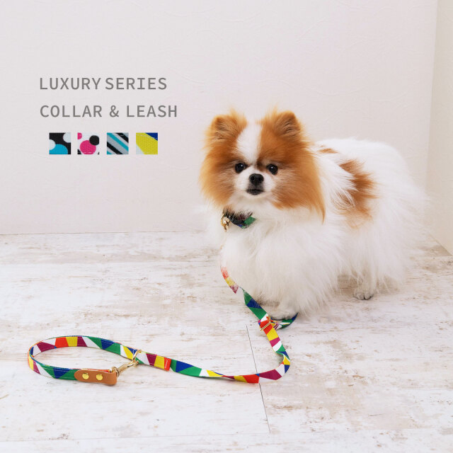 犬 首輪 リード セット ラグジュアリーシリーズ