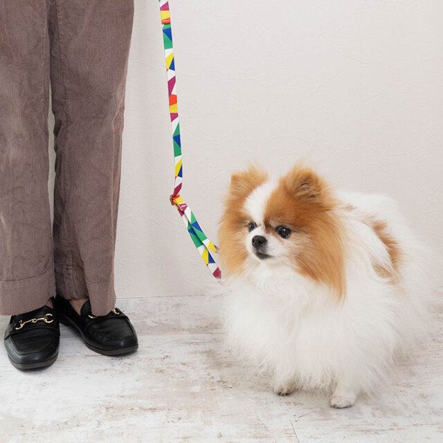 犬 首輪 リード セット ラグジュアリーシリーズ