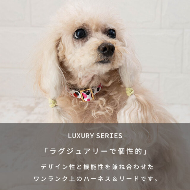 犬 首輪 リード セット ラグジュアリーシリーズ