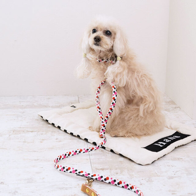 日本製 犬 犬用 首輪 リード セット お揃い 単品 カラフル かわいい