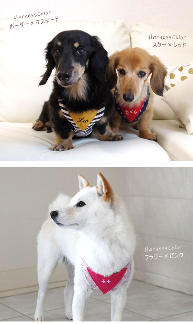 名入れ 犬 ハーネス リード 
