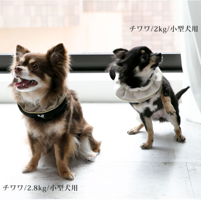 犬 夏 暑さ対策 ネッククーラー 保冷剤 4個付き 夏グッズ 保冷グッズ ひんやりグッズ 日本製 ナコル M便 1 2 Dnc 犬 夏 暑さ対策 ネッククーラー 保冷剤 4個付き 夏グッズ 保冷グッズ ひんやりグッズ 日本製 ナコル M便 1 2 Dnc