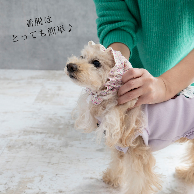 犬 ペット 耳カバー スヌード