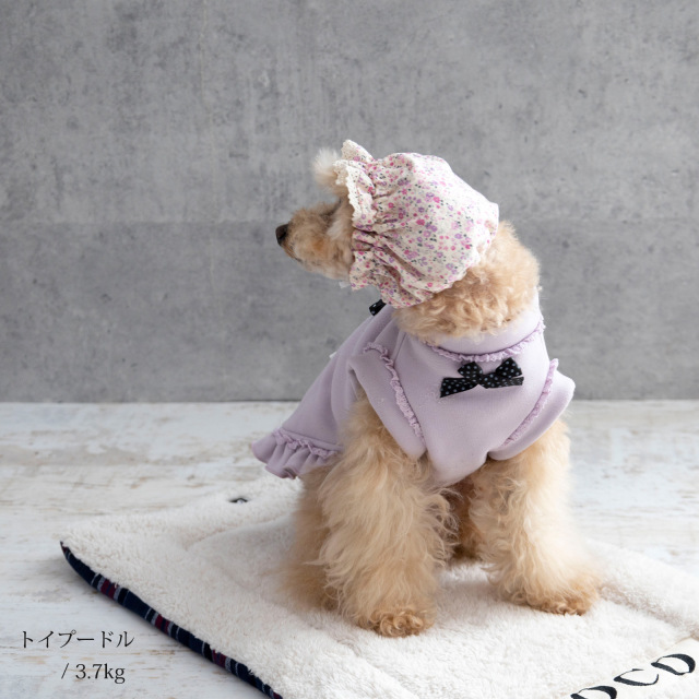 犬 ペット 耳カバー スヌード