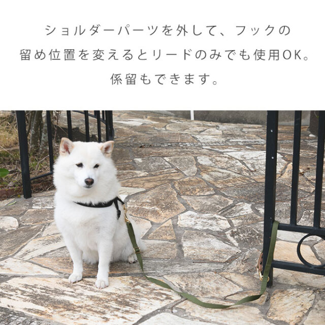 フリル ショルダーリード