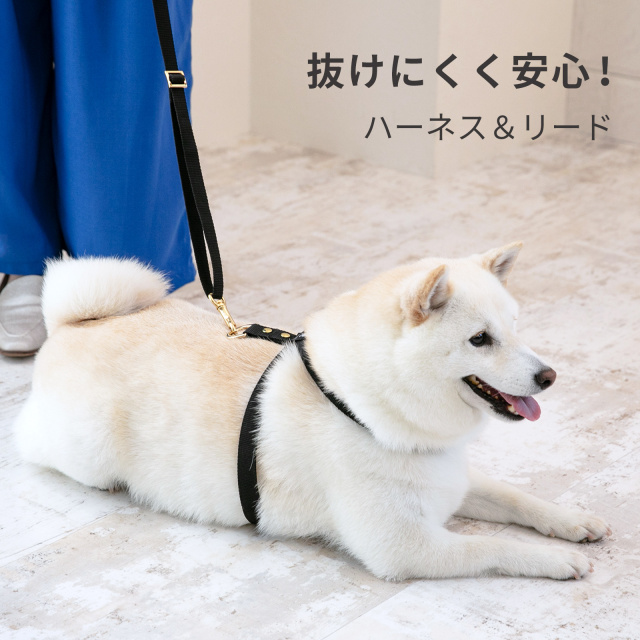ハーネス 8の字