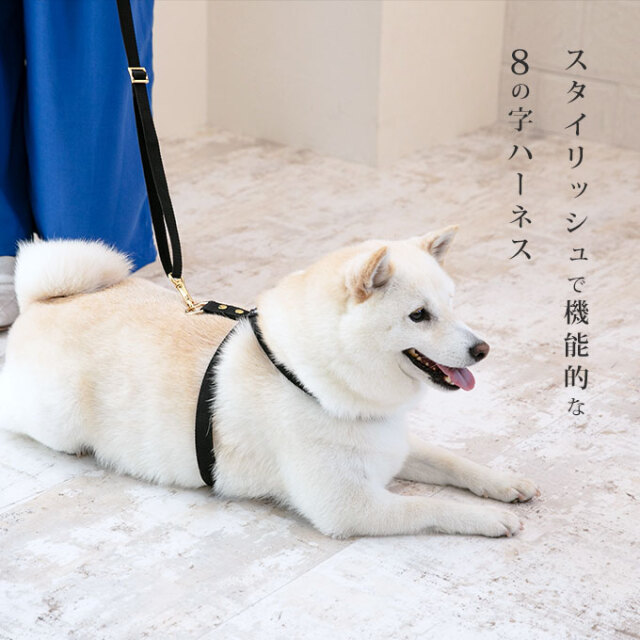 ハーネス 8の字