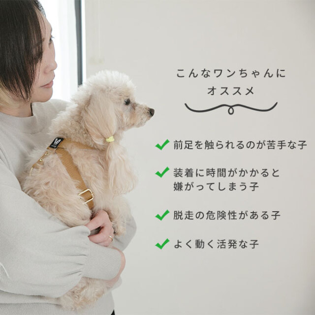 ハーネス 8の字