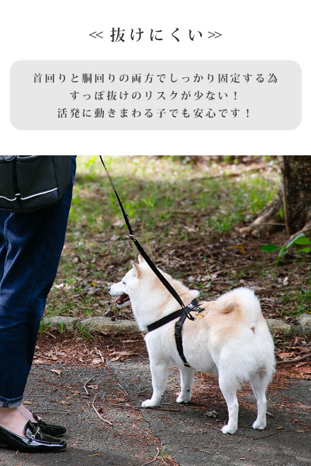 日本製 犬 犬用 8の字 ハーネス リード セット すっぽ抜けない 抜け