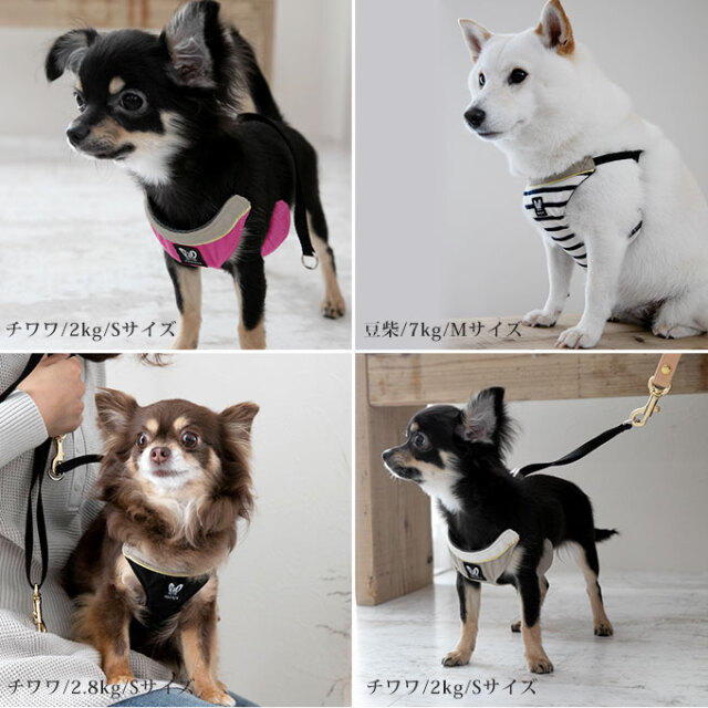 日本製 犬 犬用 ショルダーリード ハーネス セット シンプル