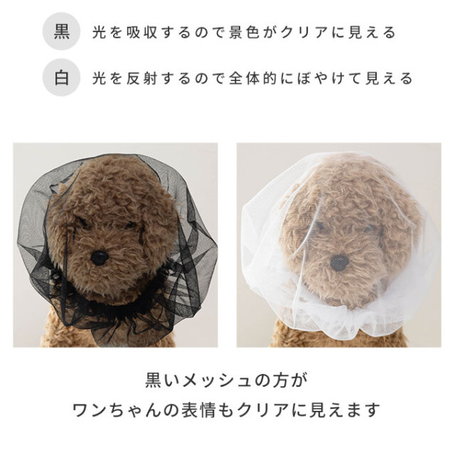 拾い食い防止カバー