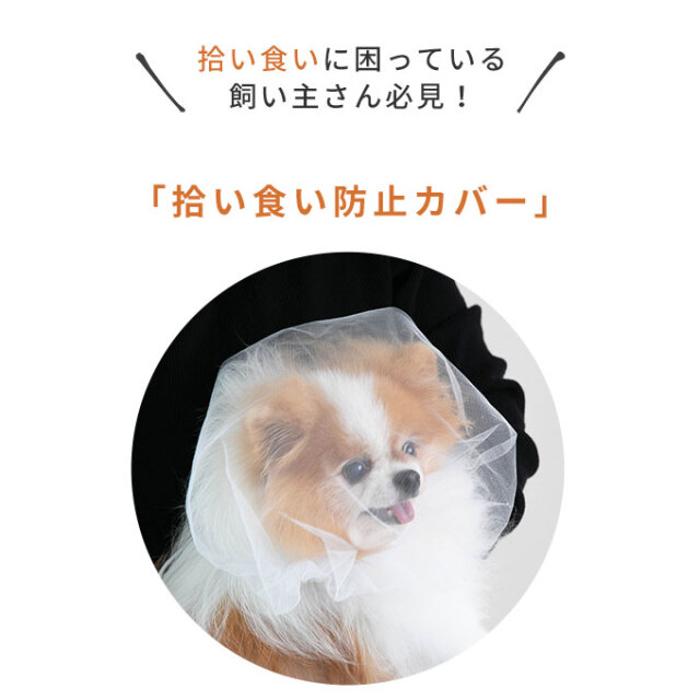 拾い食い防止カバー